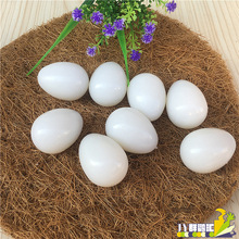 假鴿子蛋 非注水實心鴿子假蛋鴿子用品 孵卵用品肉鴿信鴿鴿具