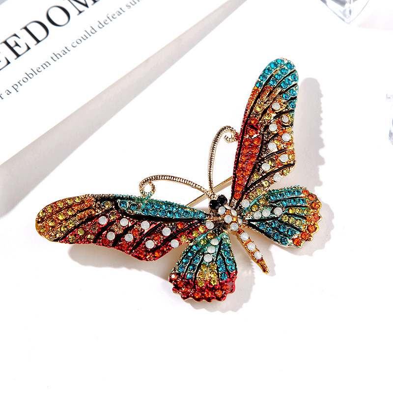 Mode Papillon Alliage Incruster Strass Femmes Broches display picture 6