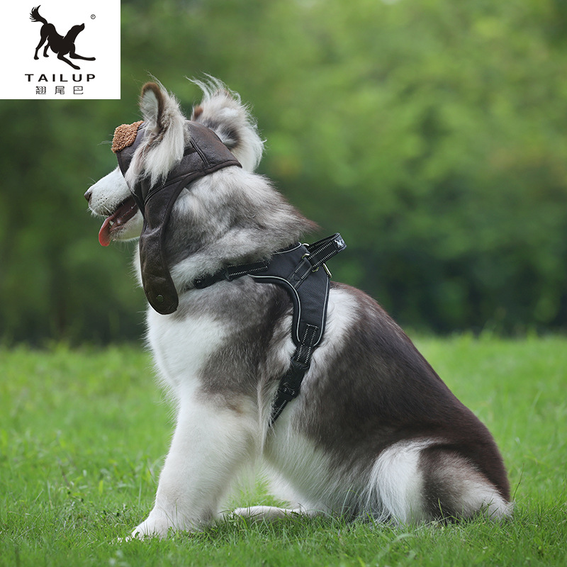 寵物用品秋冬新款寵物狗狗飛行員帽歐美復(fù)古時(shí)尚保暖跨境亞馬遜廠