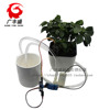 Automatic watering water pump automatic irrigation module DIY set soil humidity detection automatic watering pumping water