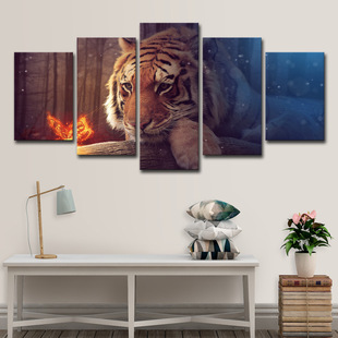 �羳���uͨ Aliexpress5�堝ˇ�gΞ���x�ϻ��Ҿ��b����ͮ�
