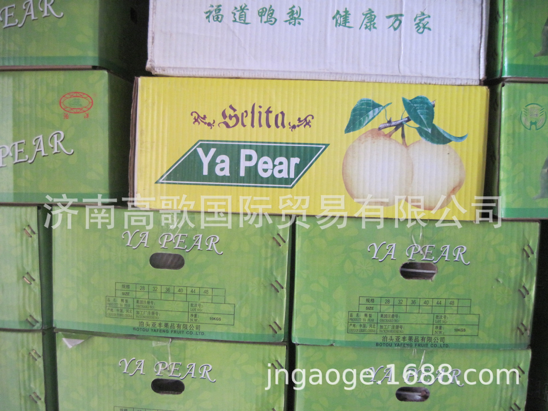 绿宝石梨pear,早酥梨,常年供应绿宝石梨 欢迎大家来选购-阿里巴巴