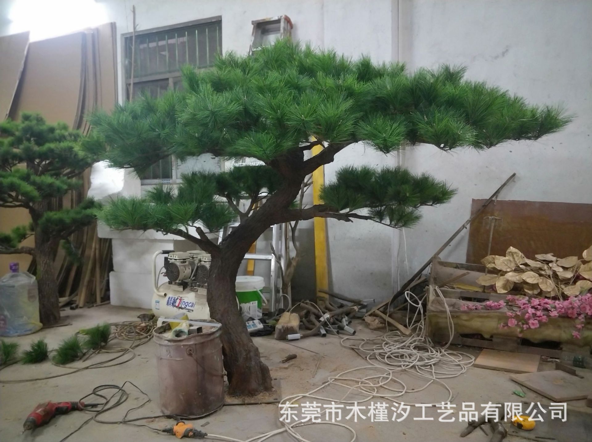 迎客松怎么自己做造型,迎客松盆景造型修剪,迎客松如何定型(第7页)_大山谷图库
