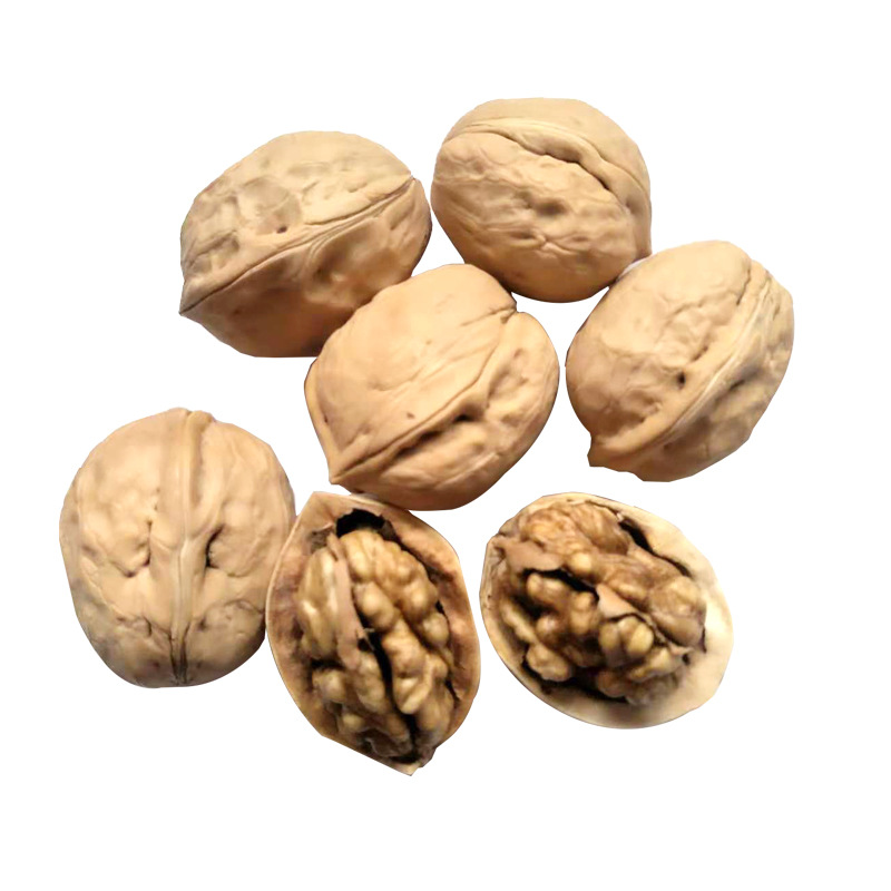 新疆薄皮核桃 500g/袋阿克蘇核桃 原味堅果零食批發支持壹件代發