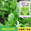 Lettuce seeds, lettuce salad seeds, lettuce seeds, vegetable seeds wholesale vegetable seed seed seed seed company