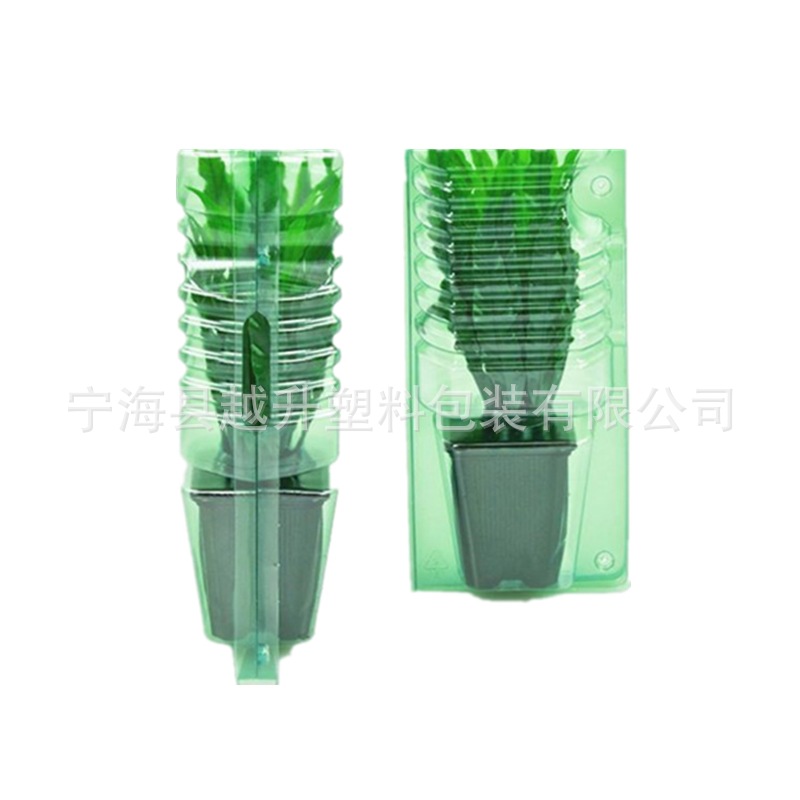 花苗方形盆栽塑料包装盒 多肉食虫植物快递专用 7cm黑方吸塑盒