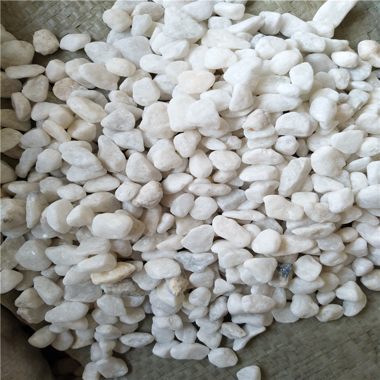 现货销售园艺铺面白色小石头白色石子 白卵石 白色碎石 机制卵石