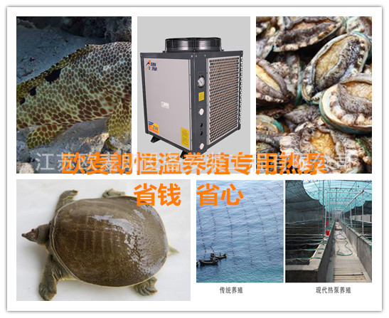 无锡工厂化恒温水产养殖空气能热水器 热泵养殖加温设备