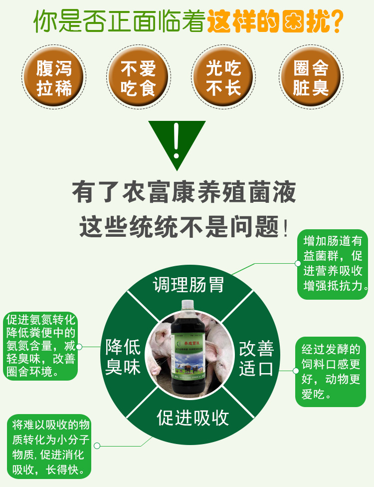  哪种益生菌给生猪防病保健效果好