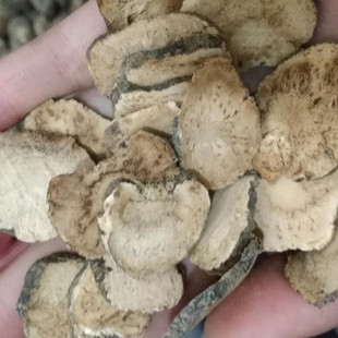 �a��ֱ�N ����Ƭ��؛�����ڬ�����Ƭ����Ƭ�r�aƷ