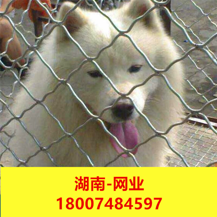 菱形美格焊接网 防盗网网吧装饰 养殖笼子用镀锌钢丝护栏防护网