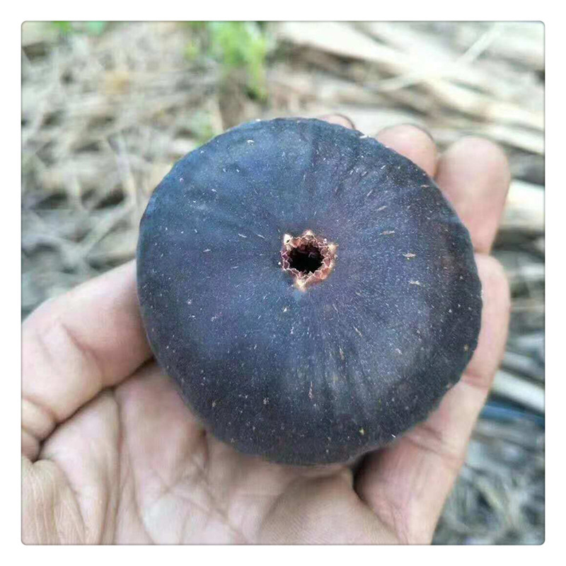 59d6b0e51d4a536e6f696c00db90a3