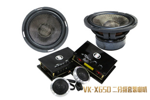 Manufacturers supply subwoofer VK subwoofer car Active Subwoofer 10-inch subwoofer T10S