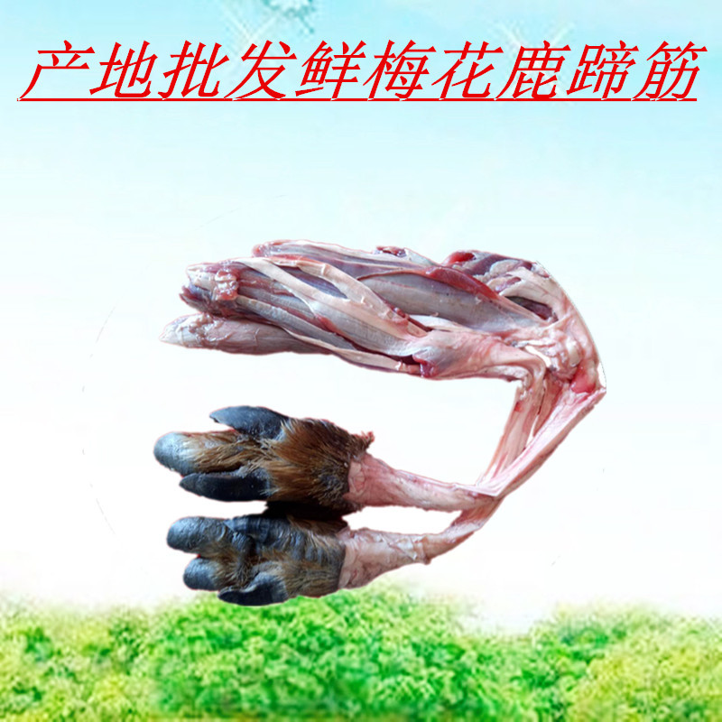 Lu Jin fresh Deer Deer tendons 500 Gram wholesale