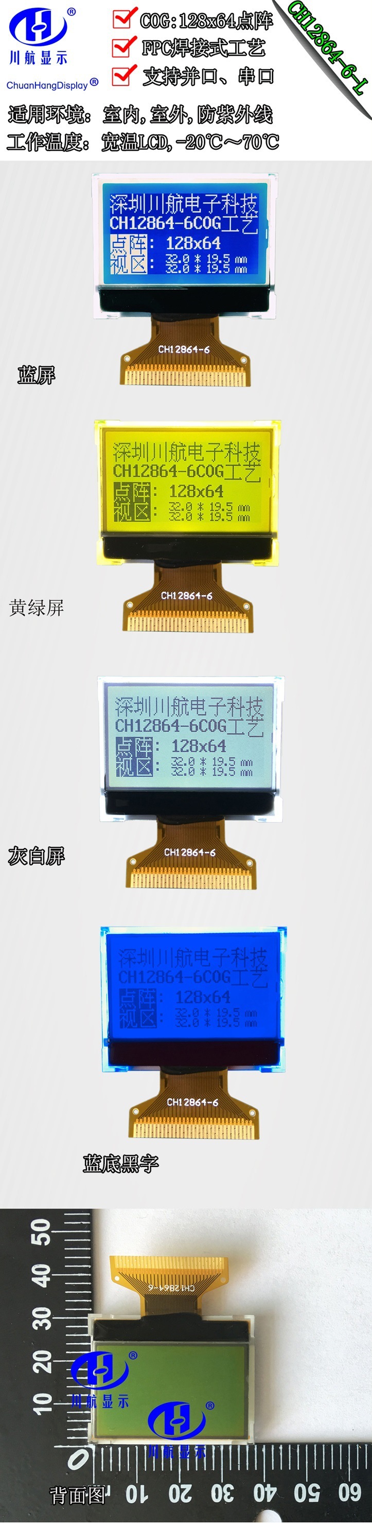 12864-6-L大圖-PCB