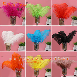 �F؛��Y��ɫ�r�Bë 50-55cm��̨�b廨·��Ⱦɫ��ߴ��r�B��ë