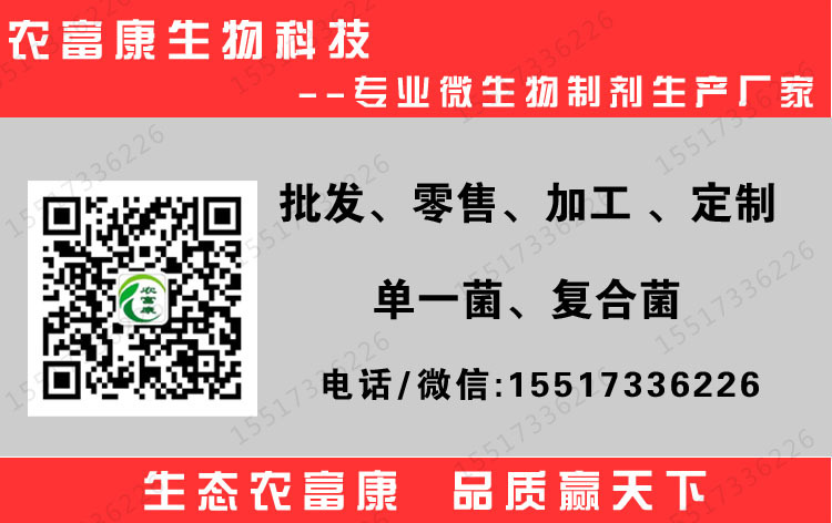 养蛇发酵床菌种生产厂家