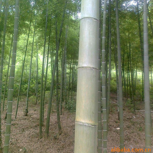 ���Y�����á����l���B����ʹ���_��Ƭ��ܰ����������Ƭ �_��Ƭ