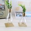 Creative transparent plant lamp, glossy bulb, modern decorations for living room, jewelry, new collection