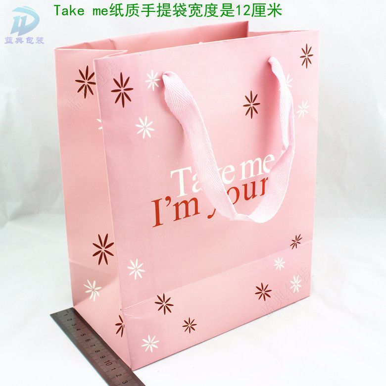 Take me纸质手提袋宽度是12厘米.jpg