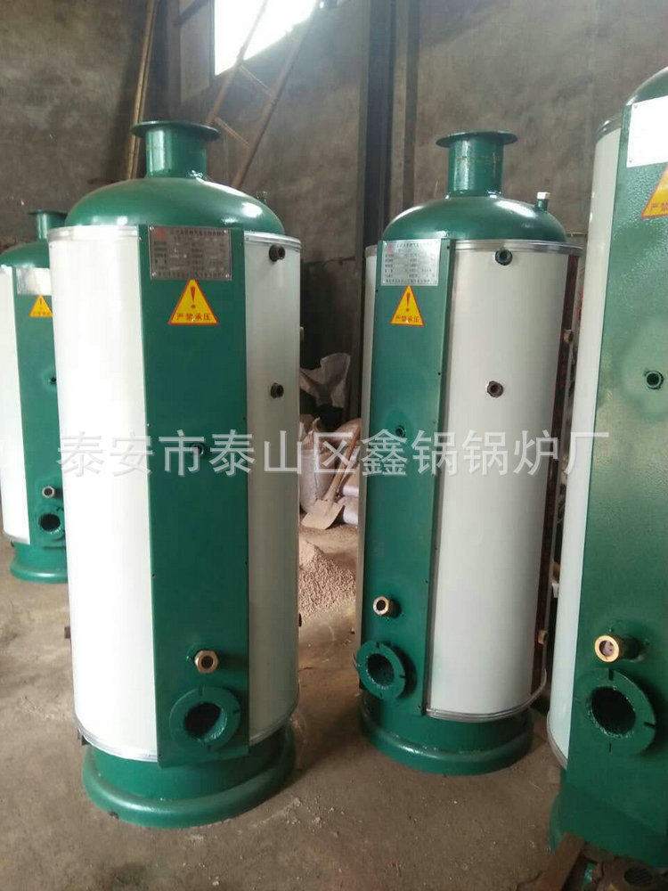立式燃气燃煤蒸汽锅炉 食品加工烘干蒸汽发生器