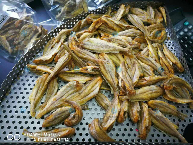 油炸机