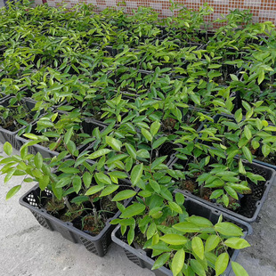 늰׾G����� �����޽������ �Nֲ�G��骽Y�����ͺ� ������