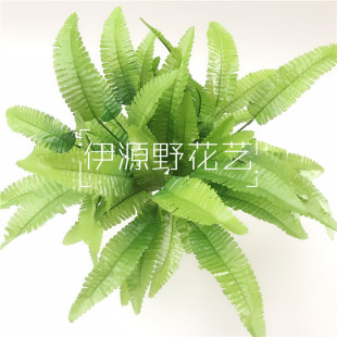 �F؛ 7��20�~���沨˹��С��˹�~���滨ާ�~��������ֲ������b�