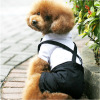 Suit littering male pet cat Teddy puppy clothes clothing wedding photo fake two-piece shirt suit