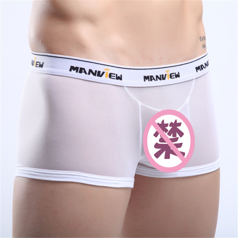 M01-4 foreign trade sexy mesh large flat angle men's underwear sexy European and American clothes perspective large size adult