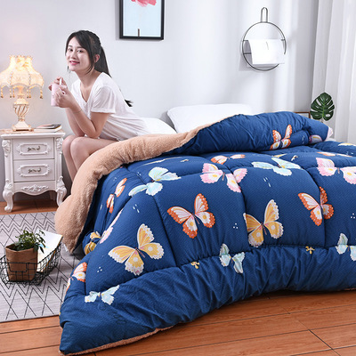 direct deal 2018 Sherpa Winter quilt student Bedding Spring and autumn quilt customized wholesale On behalf of