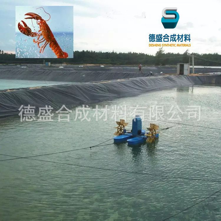 HTpXap.png_.webp_副本