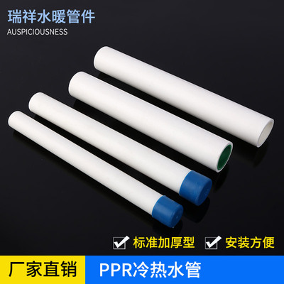 廠家直供 家裝精品PPR冷熱水管 多規格自來水管 PPR管材排水管
