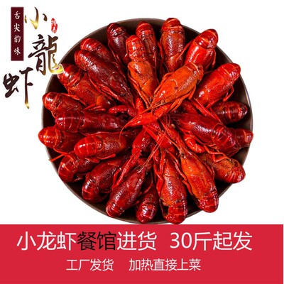 Hubei Spicy and spicy Flavor Crayfish Cooked Honghu Temptation 4-6 Some 40 wholesale Honghu Crayfish commercial