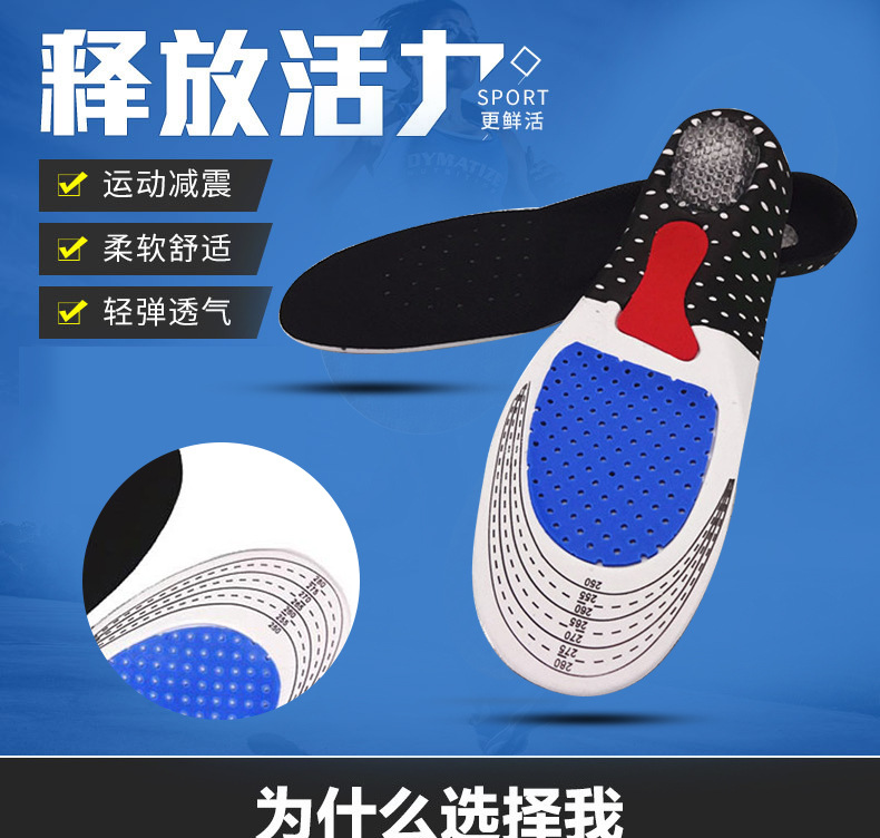 3685550606_538099569_01