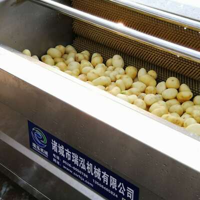 萝卜清洗机 厂家直销根茎类蔬菜毛辊清洗机 土豆 莲藕去皮清洗机|ms