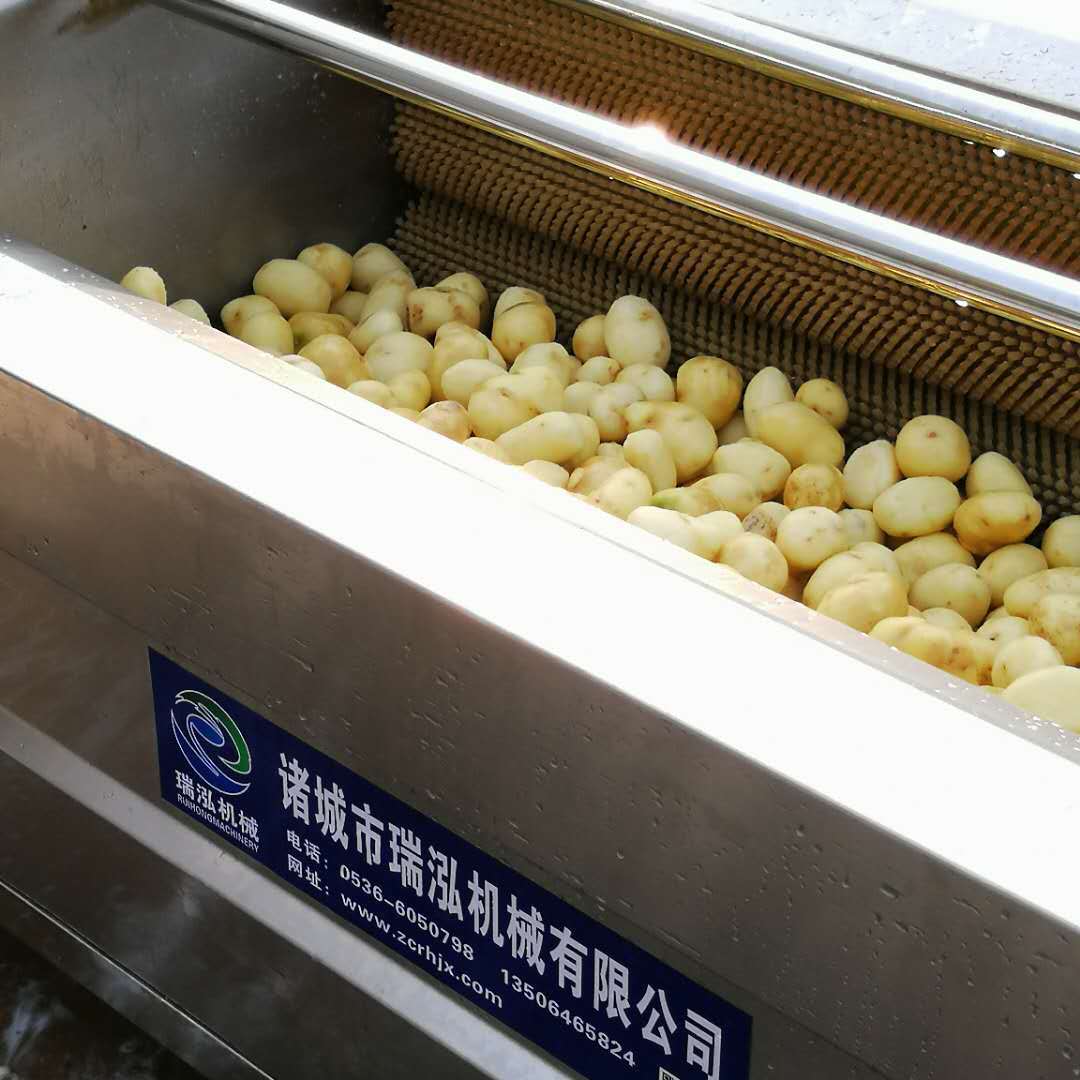 萝卜清洗机 厂家直销根茎类蔬菜毛辊清洗机 土豆 莲藕去皮清洗机|ms