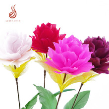 ���l������ëõ�廨��ë�����c�Ҿ��b���ë��ˇ�Ĕz����