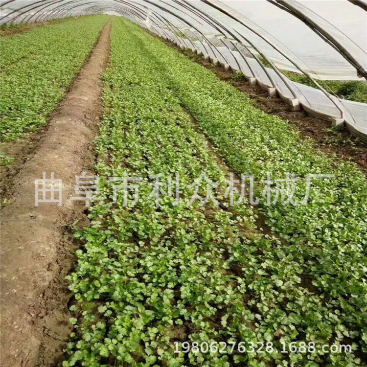 大庆 娃娃菜 芹菜 芥菜 蔬菜播种机 买蔬菜播种机送模具