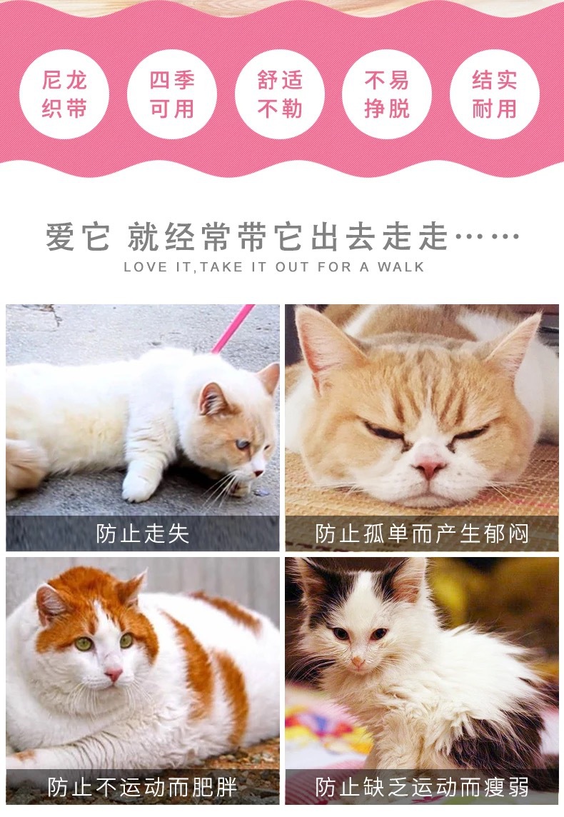 猫咪牵引绳小型犬宠物胸背带狗狗牵引绳猫猫用品厂家直销详情12