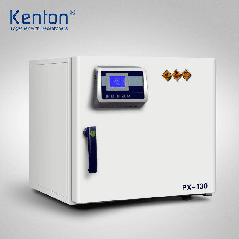 厂家直销 恒温培养箱PX-130 不锈钢内胆 实验室微生物培养箱