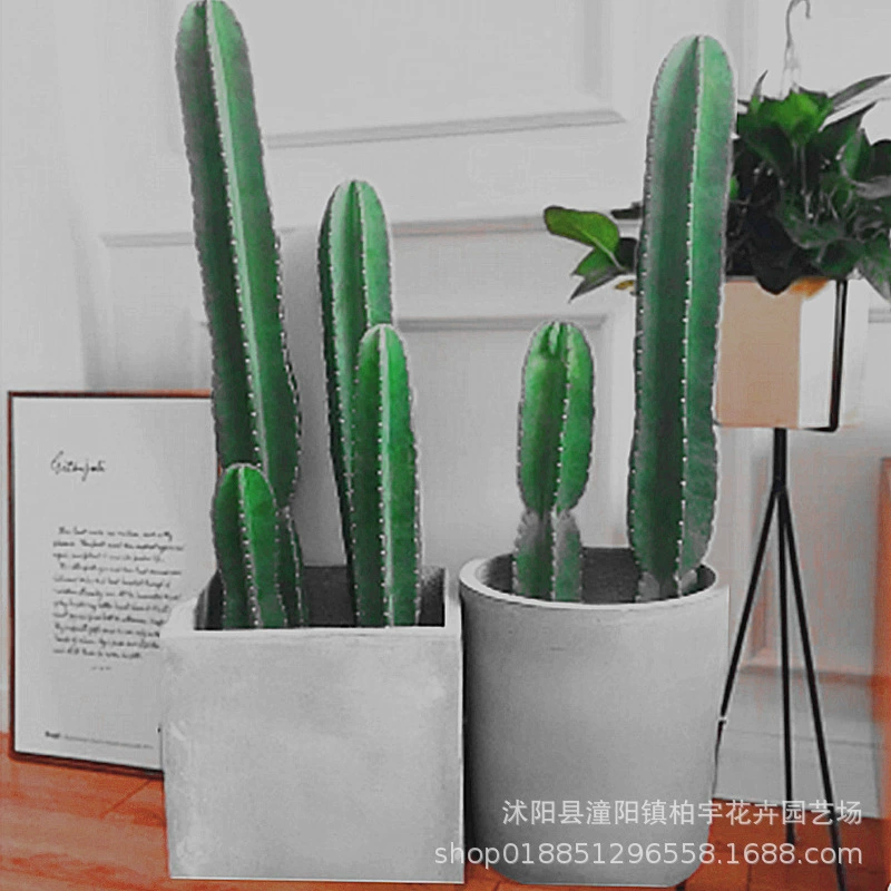 Измерительная линейка Колонка для кактусов растение кактус синяя Колонка кактус большой Феникс Дракон колонна для кактусов Дракон Бог Деревянная колонна для кактусов