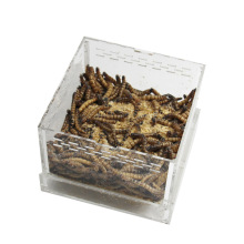 面包虫大麦虫亚克力饲养盒黄粉虫活体饲养盒亚克力面包虫饲养箱