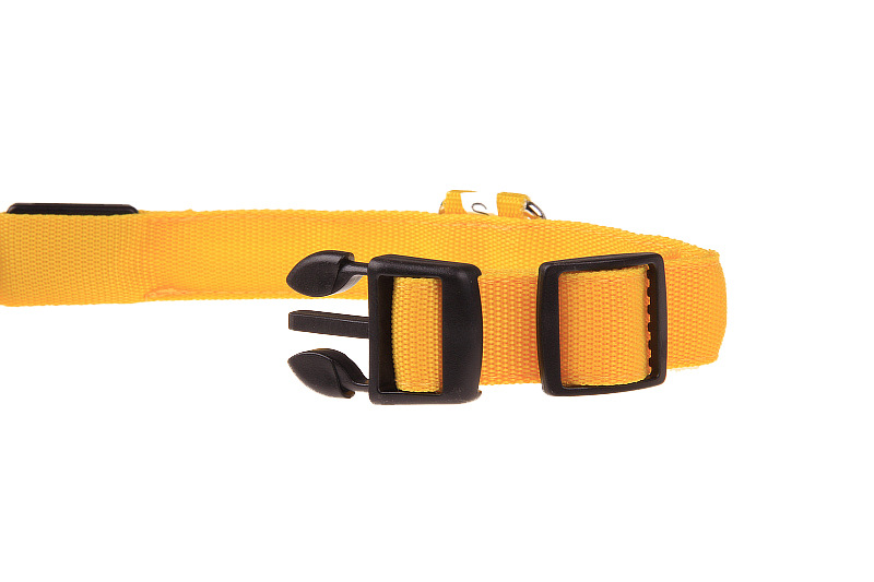 sicherheitshalsband hund