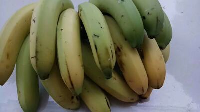 Bananas Guangxi specialty Accelerate the ripening Fight drugs Aftermarket fresh Seasonal fruit On behalf of
