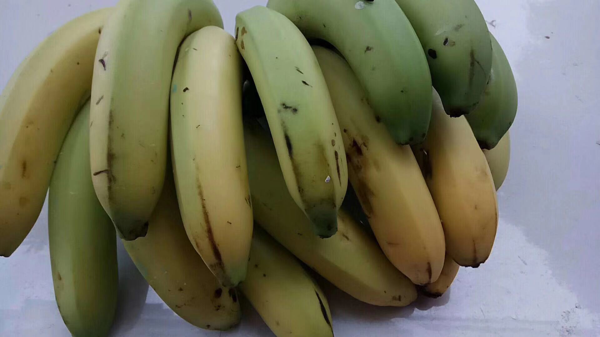 香蕉九斤广西特产不催熟不打药 包邮包售后新鲜时令水果一件代发|ru