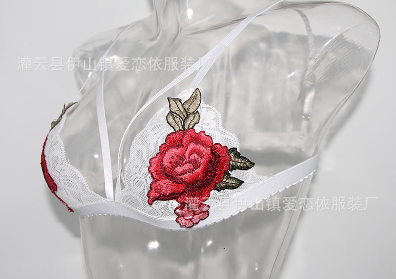 Soutiens-gorge NUIT D AMOUR  AMOUR en  dentelle - Ref 3370401 Image 31