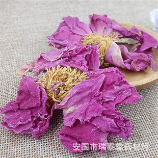 ����ĵ���� ĵ������   �����ό��� ���ӹ�����