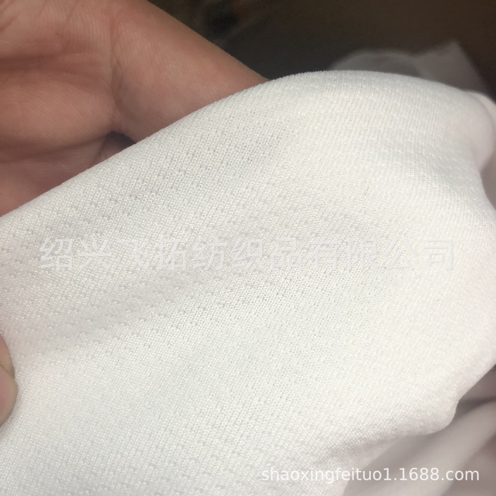 厂家直销针织全涤双眼提花鸟眼布  雨点鸟眼布