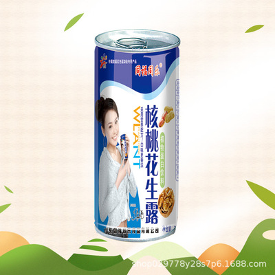 Manufactor Direct selling Retail Botany protein Drinks 240ml*16 Full container nut Calcium Walnut Peanut dew